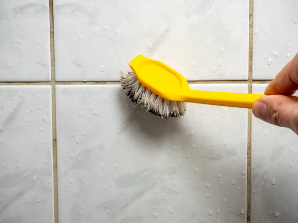 Best Attic Mold Removal  in Black Jack, MO